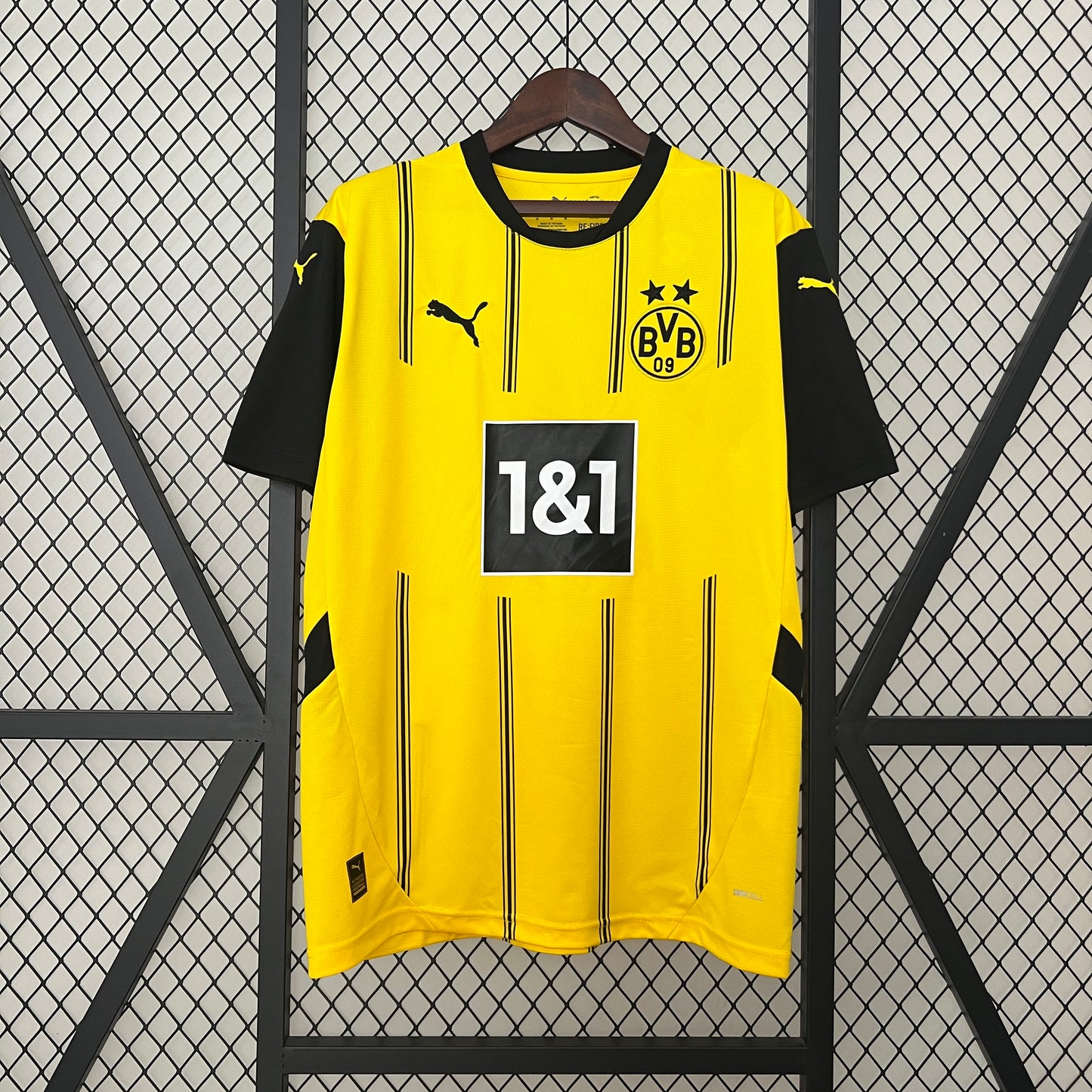 BORUSSIA DORTMUND 24/25