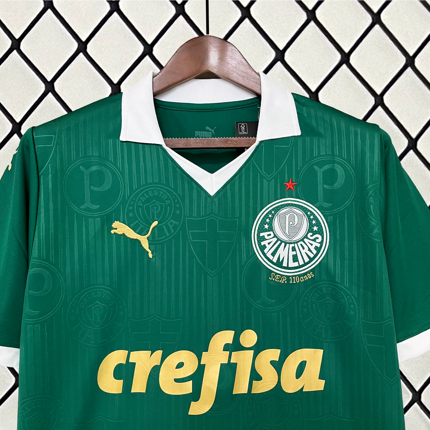 PALMEIRAS 24/25